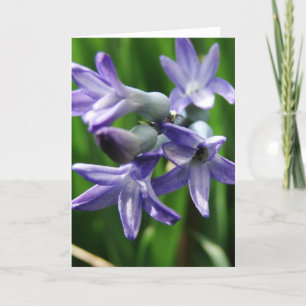 Purple Spring Flowers Card