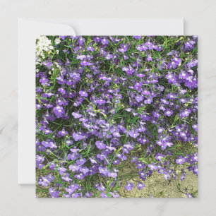 Purple Spring Flowers Flat Card