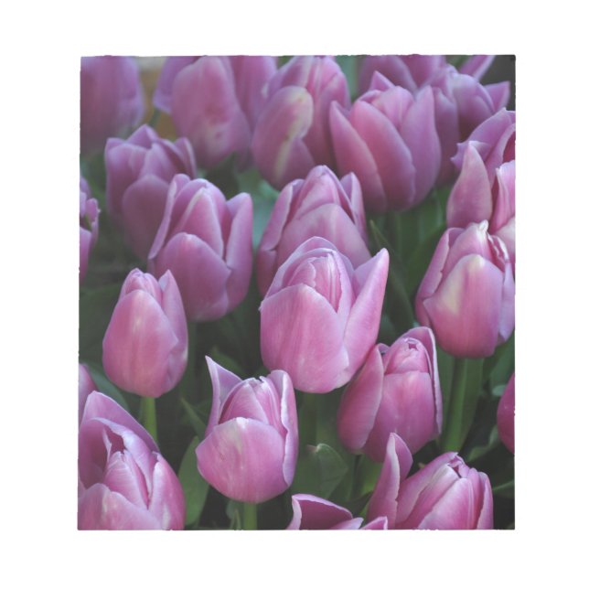 Purple spring tulips notepad (Front)