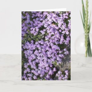 'Purple Springtime' Blank Greeting Card