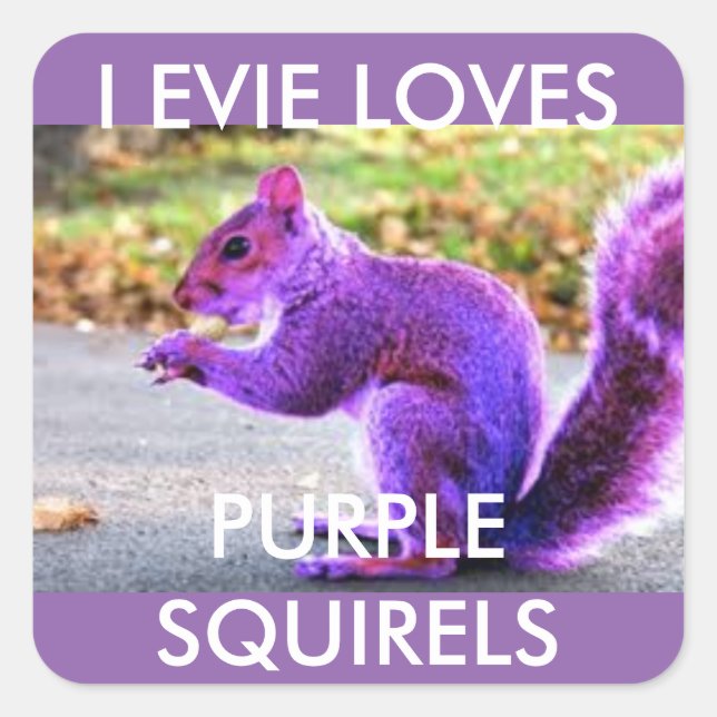 Purple Squirrel Love Square Sticker (Front)
