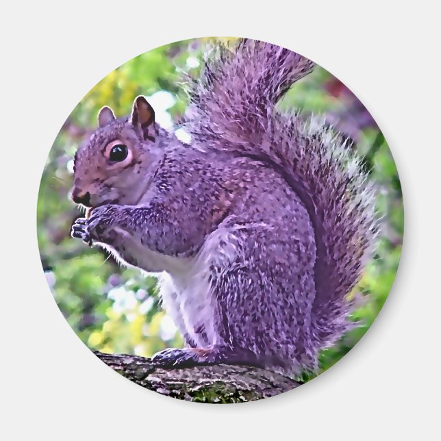 Purple Squirrel Magnet (Front)
