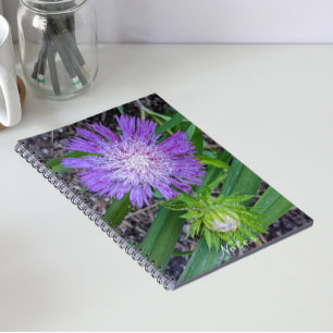 Purple Stoke's Aster Floral Notebook