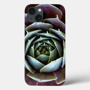 Purple Succulent Close-Up iPhone 13 Case