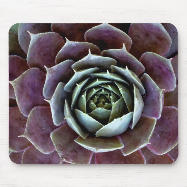 Purple Succulent Close-Up Mouse Pad (Front)