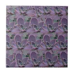 Purple Succulent Tile