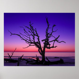 Purple Sunrise Poster