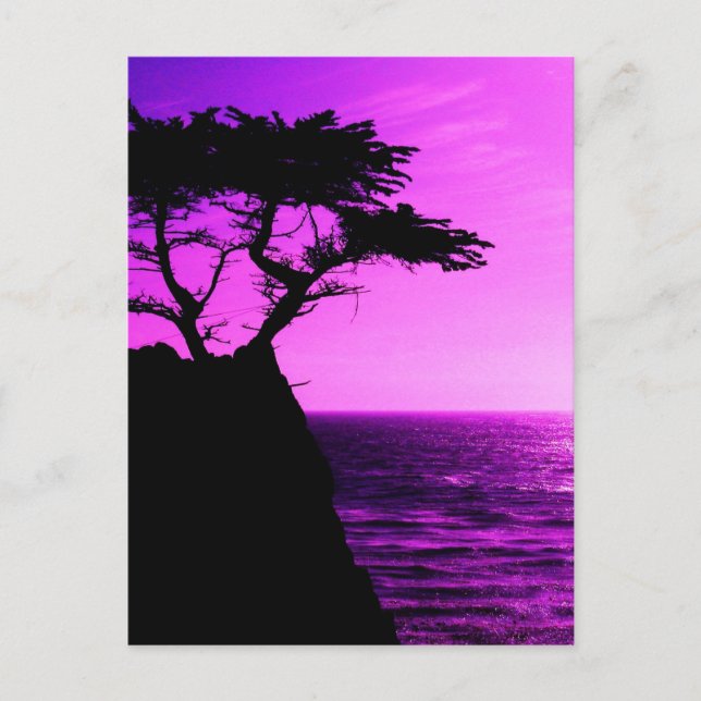 Purple Sunset Beach Tree Ocean Peace Love Destiny Postcard (Front)