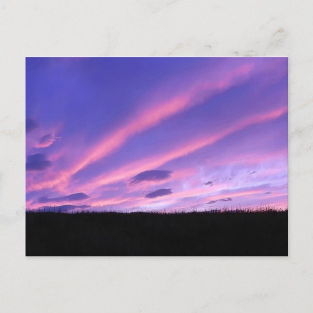 Purple Sunset  Holiday Postcard (Front)