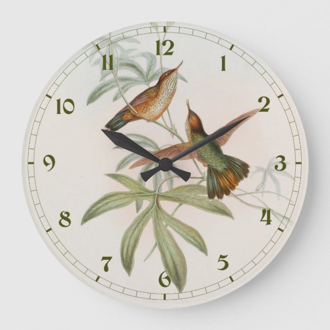 Purple-tailed Avocet Hummingbird by John Gould Large Clock (Front)