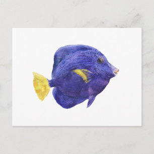 Purple Tang Fish Watercolor Illustration Postcard