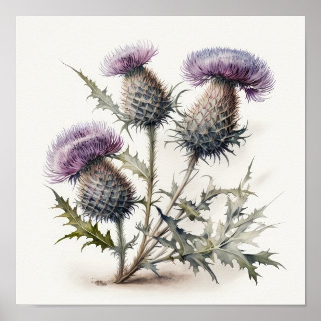 Purple Thistle Flower Art Print Poster (Front)