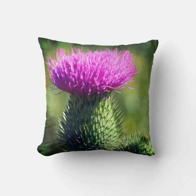Purple Thistle Flower Close Up  Cushion (Front)