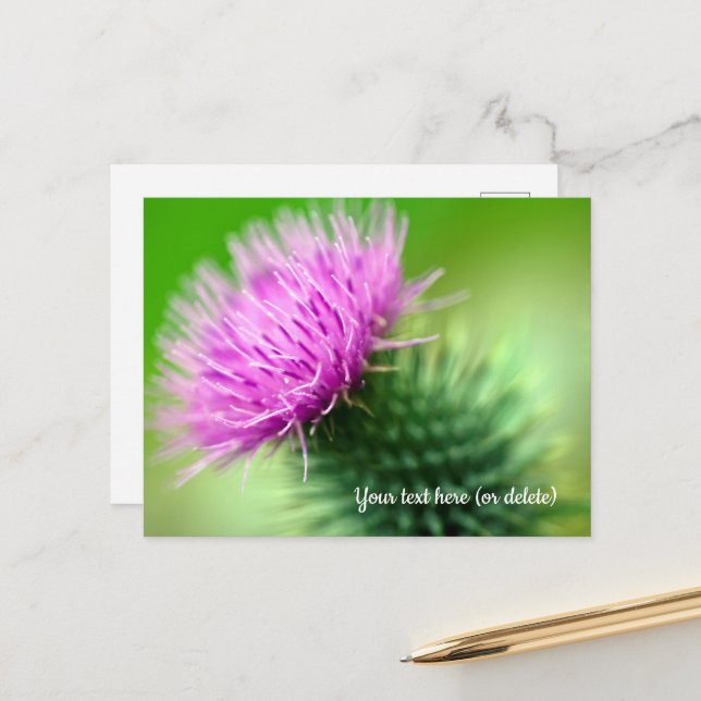Purple Thistle Postcard (Front/Back In Situ)