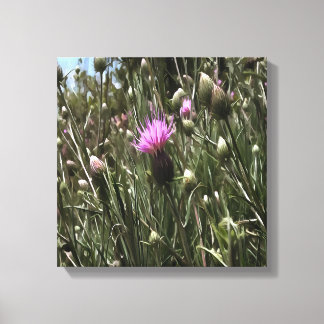 Purple Thistle Wildflower Realistic Art Canvas Print