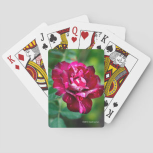 Purple Tiger Rose Playing Cards