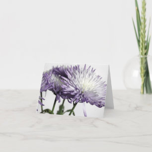 Purple Tipped Spider Mum Panorama Note Card