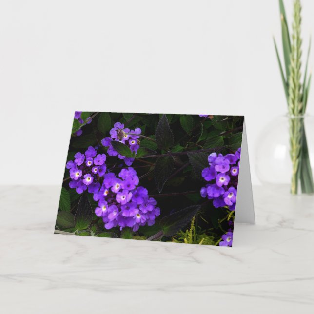 Purple Trailing Lantana #1 Card (Front)