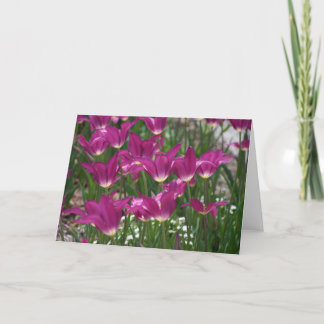 Purple Tulip Card
