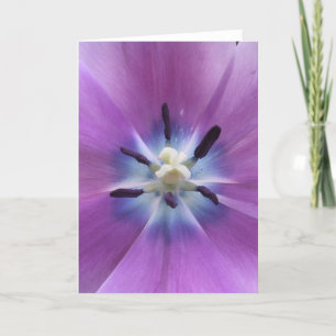 Purple Tulip Card