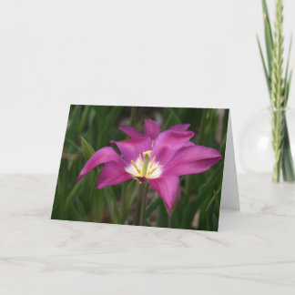 Purple Tulip Card