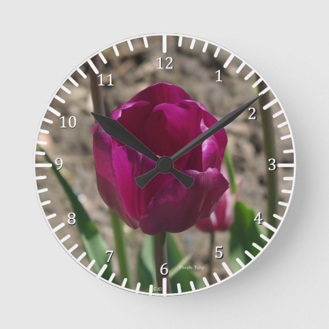 Purple Tulip clock (Front)