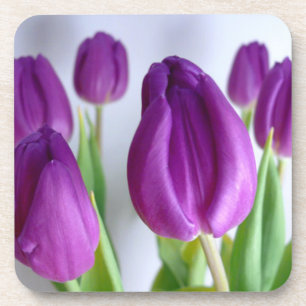 Purple Tulip Coaster