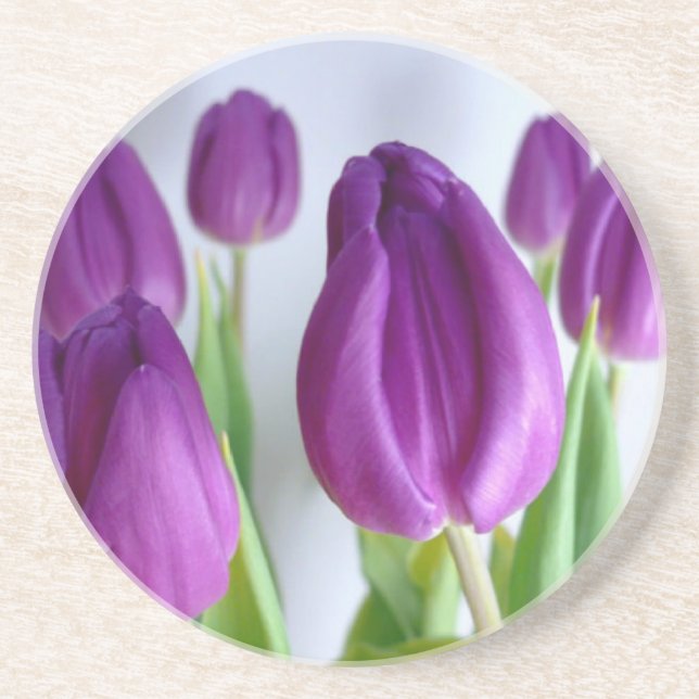Purple Tulip Coaster (Front)