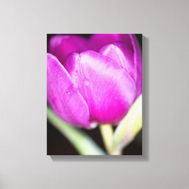 Purple tulip flower Canvas print (Front)