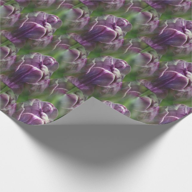 Purple Tulip Flower Nature Pattern Wrapping Paper (Corner)