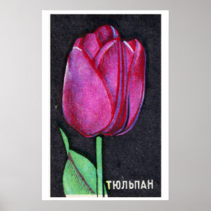 Purple Tulip - Matchbox Print - Aesthetic Wall Art