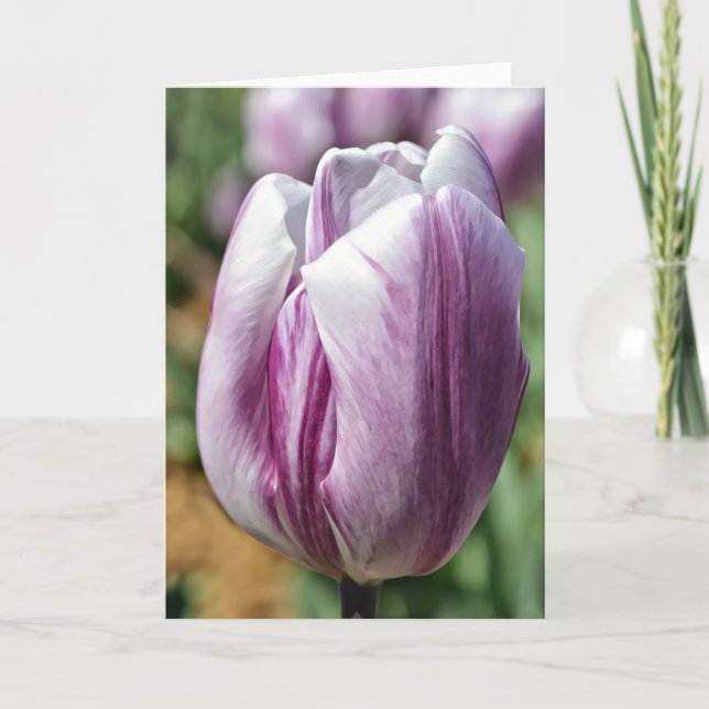 Purple Tulip Note Card (Front)