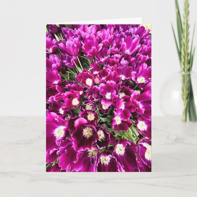 Purple Tulips Blank Card (Front)