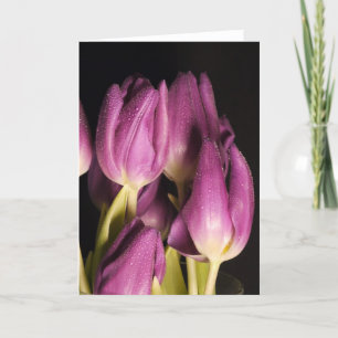 Purple Tulips  Card