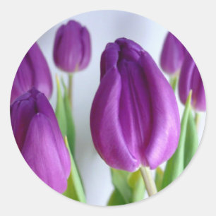 Purple Tulips Classic Round Sticker