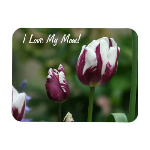 Purple Tulips Mum Magnet