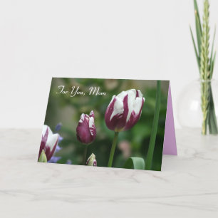 Purple Tulips Mum's Day Card