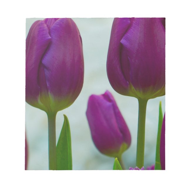 Purple Tulips Note Pad (Front)