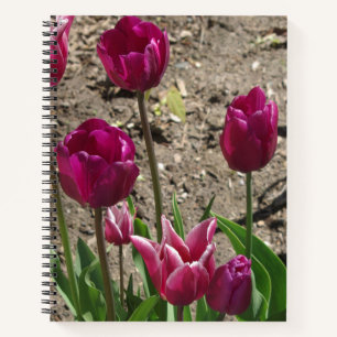 Purple Tulips notebook