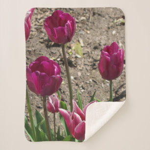 Purple Tulips sherpa blankert Blanket