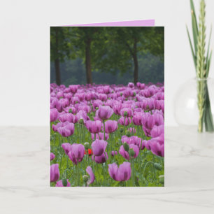 PURPLE TULIPS SYMPATHY CONDOLENCES CARDS