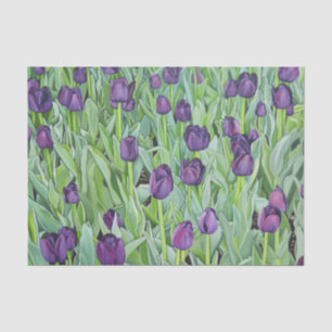 Purple Tulips Tissue Paper