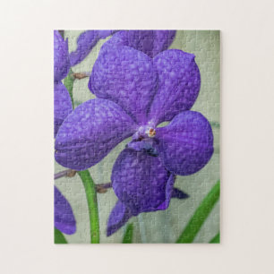 Purple vanda orchids puzzle