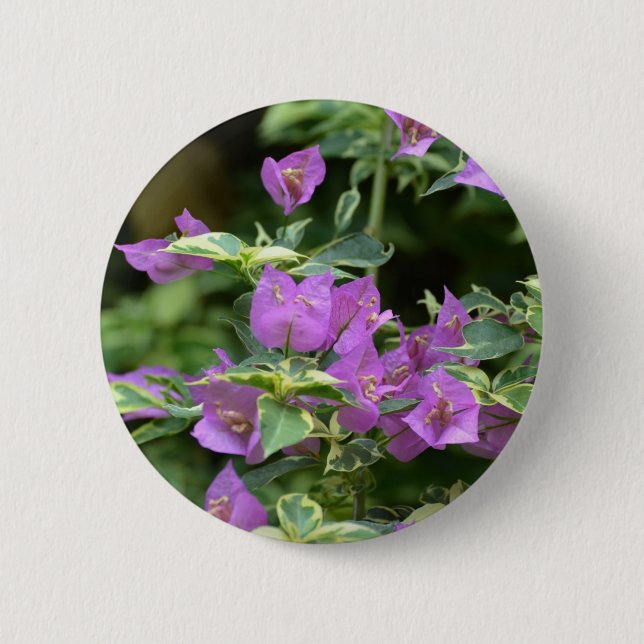 Purple Variegated Crepe and Myrtle 6 Cm Round Badge (Front)