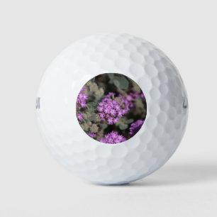 Purple Verbena Coachella Valley Wildlife Preserve Golf Balls