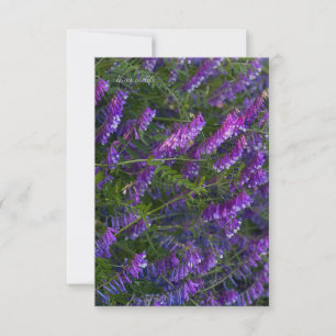 Purple Vetch Flowers Card