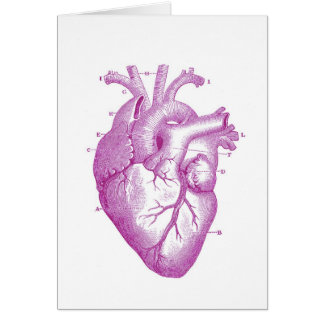 Purple Vintage Heart Anatomy