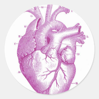 Purple Vintage Heart Anatomy Classic Round Sticker