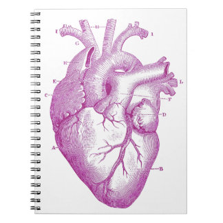 Purple Vintage Heart Anatomy Spiral Notebook