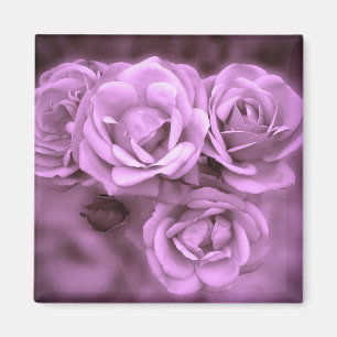 Purple Vintage Roses Magnet